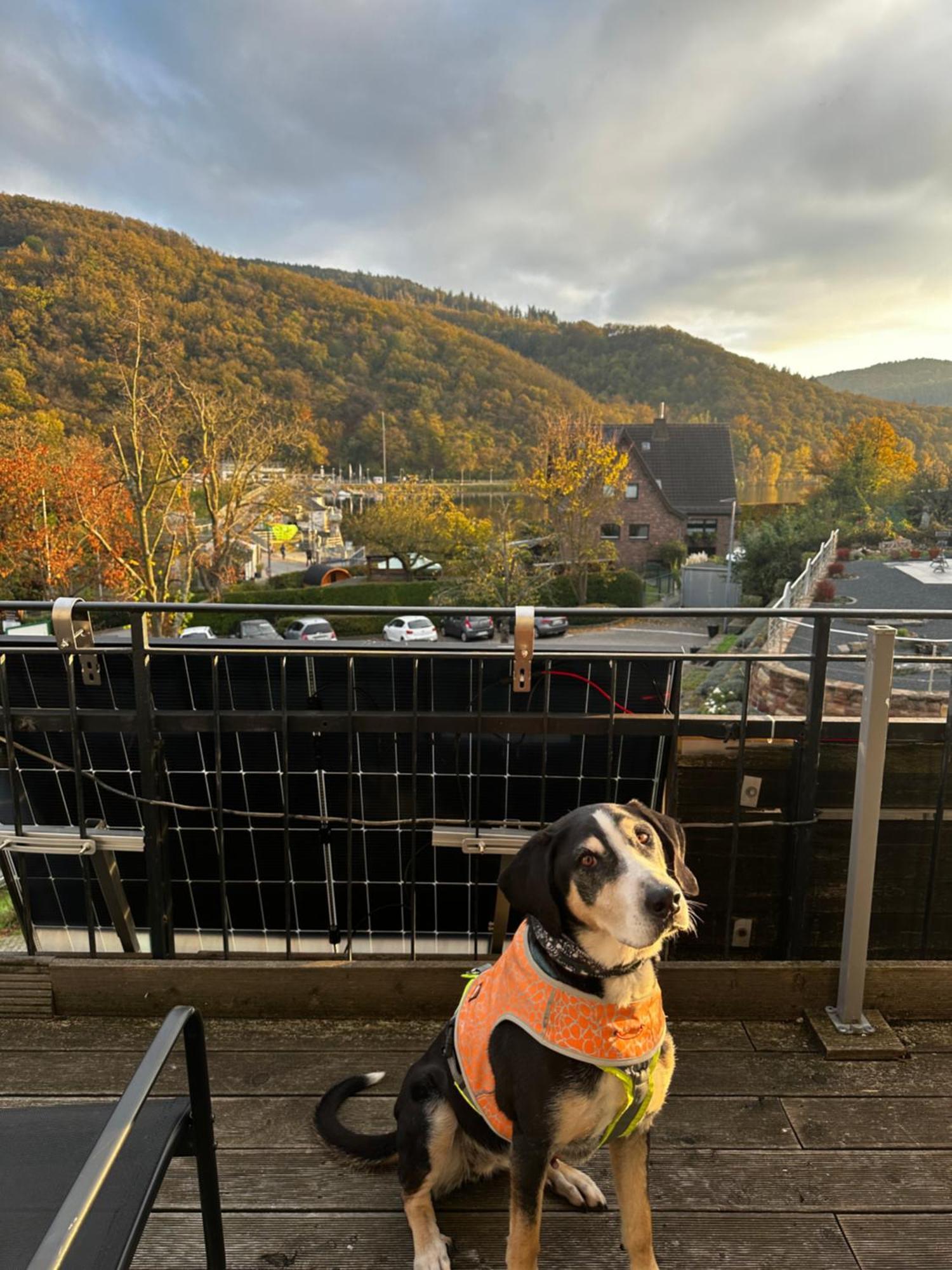 Green Seeblick Hotel Am See Obermaubach 外观 照片